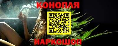шишки Аша