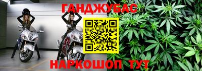 шишки Аша